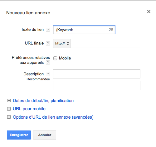 Illustration 1 Balise Google Adwords {KeyWord:} dans vos Sitelinks en Ecommerce