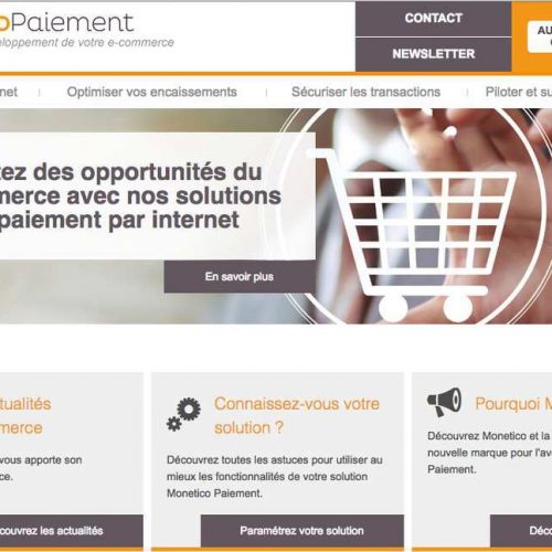 Illustration 1 Monetico : Une des pires mise en production que j'ai jamais vu sur un site Ecommerce aujourd'hui pour un TPEV