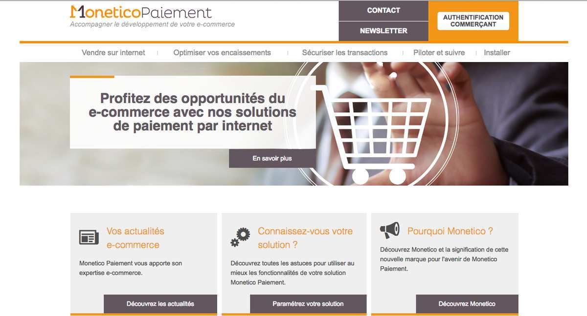 Illustration 1 Monetico : Une des pires mise en production que j'ai jamais vu sur un site Ecommerce aujourd'hui pour un TPEV