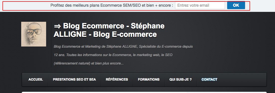 Illustration 1 Module barre newsletter pour un blog Ecommerce ou non d'ailleurs