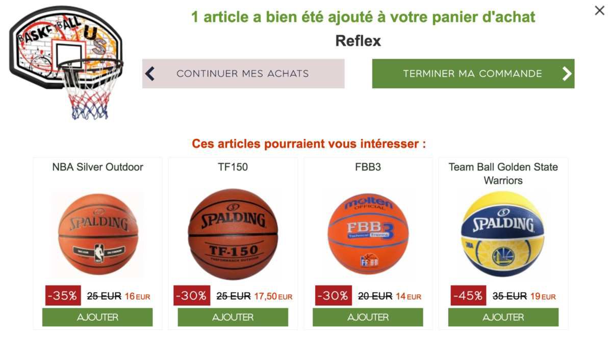Ecommerce : Focus sur Panier-Basket.fr le leader Français du Ecommerce du panier de basket