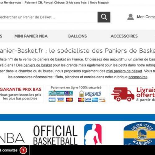 Illustration 1 Ecommerce : Focus sur Panier-Basket.fr le leader Français du Ecommerce du panier de basket