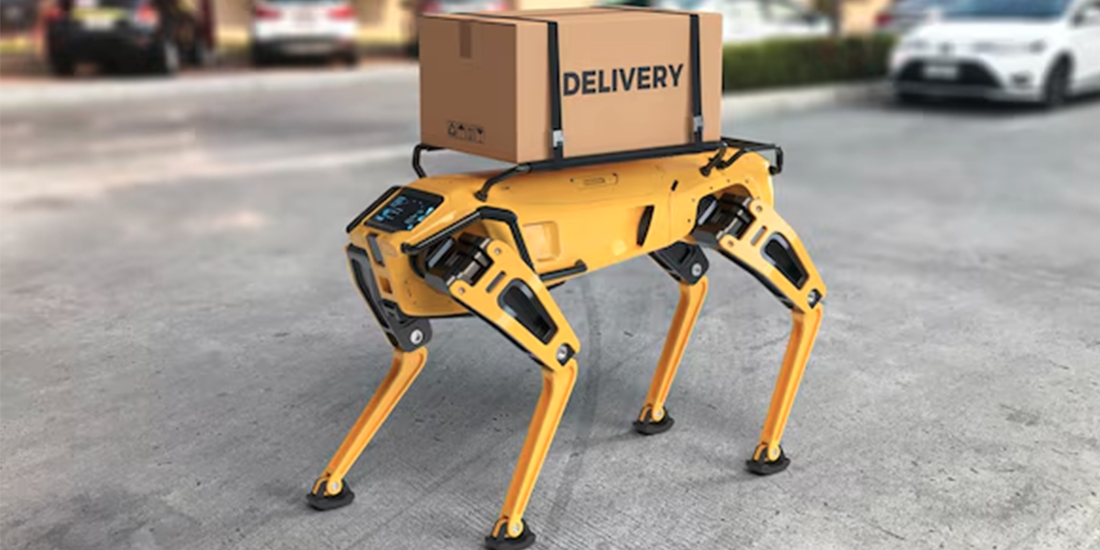 Livraison chien robot